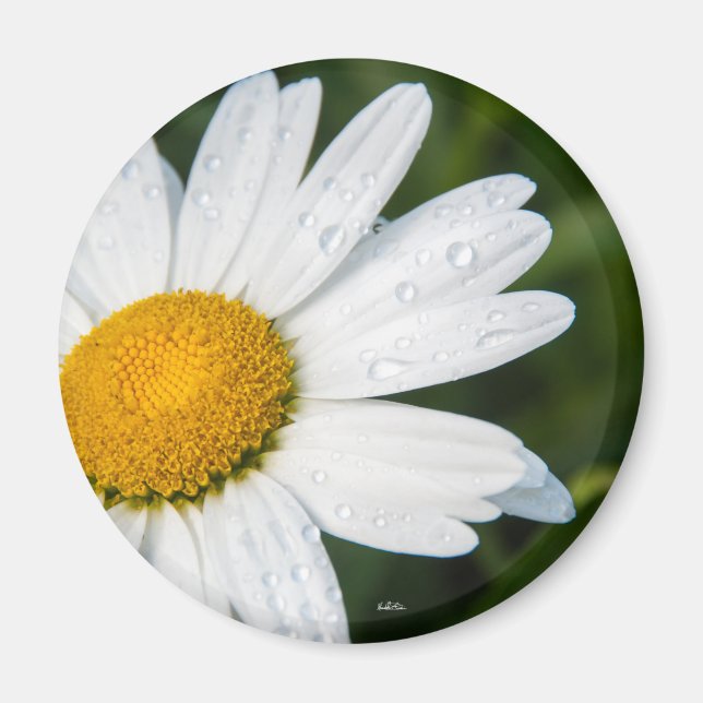 Une margueritte, font vert magnet (Framsidan)
