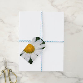 Une margueritte, font vert presentetikett