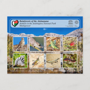 Unesco - Atsinanana - Andringitra National Park Po Vykort