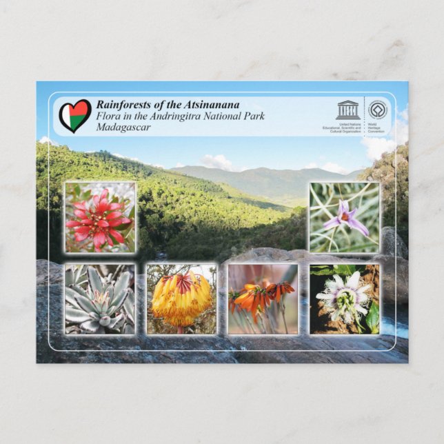 Unesco - Atsinanana - Andringitra nationalpark Vykort (Framsida)