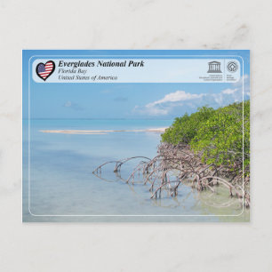 Unesco - Everglades nationalpark - Florida Bay Vykort