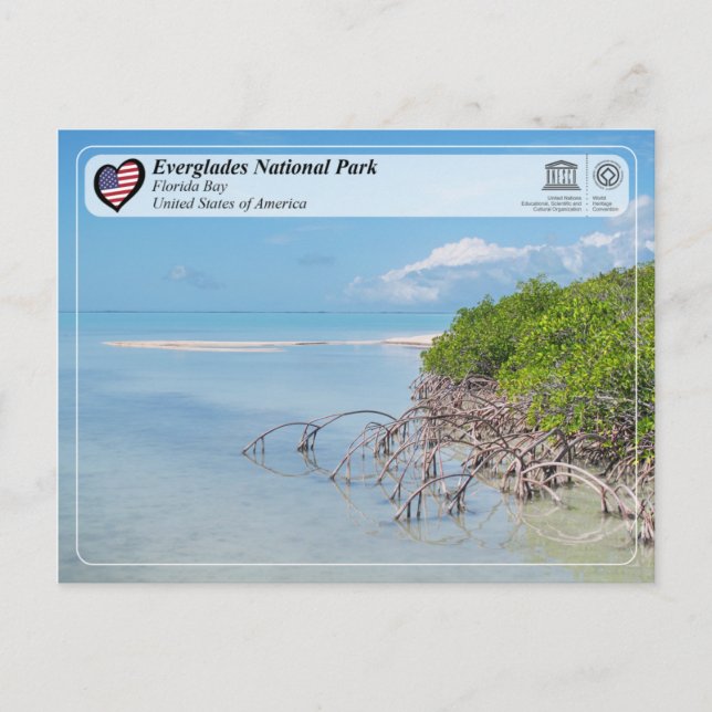 Unesco - Everglades nationalpark - Florida Bay Vykort (Framsida)