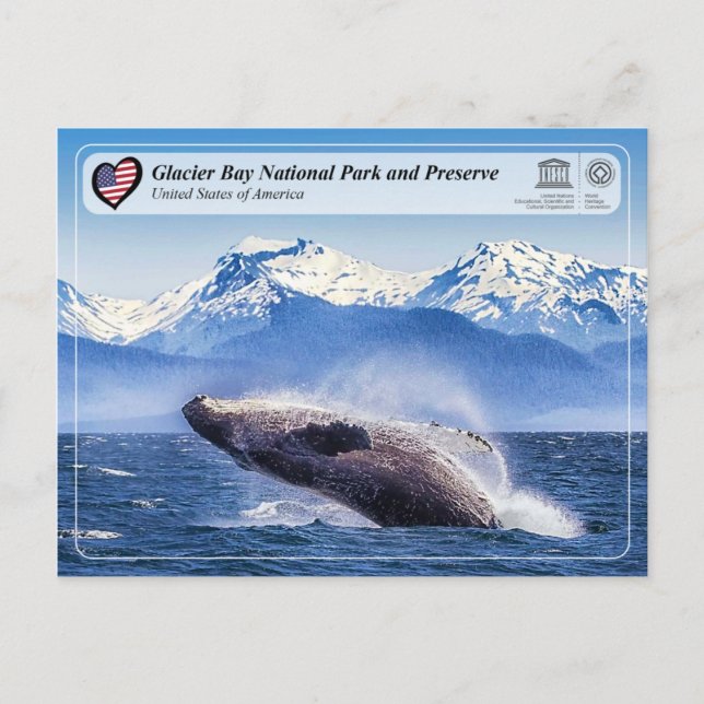 Unesco: Glacier Bay National Park - Whale Spotting Vykort (Framsida)