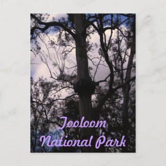 UNESCO Gondwana Ranges, Australien Vykort