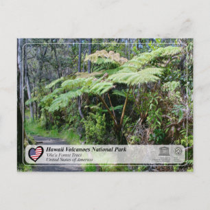 Unesco - Hawaii Vulkaners NP - "Ola'a Forest Post Vykort