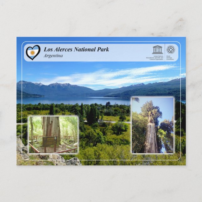 Unesco - Los Alerces nationalpark Vykort (Framsida)