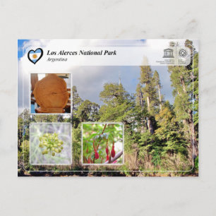 UNESCO - Los Alerces nationalpark Vykort