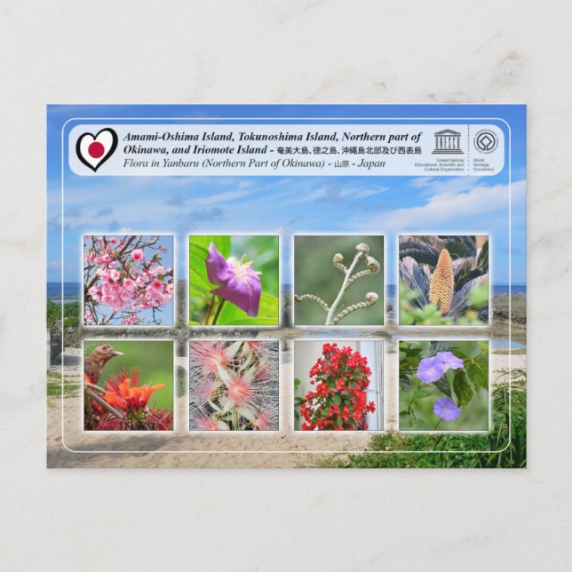UNESCO - Norra delen av ön Okinawa - 沖縄島北部 Vykort (Framsida)