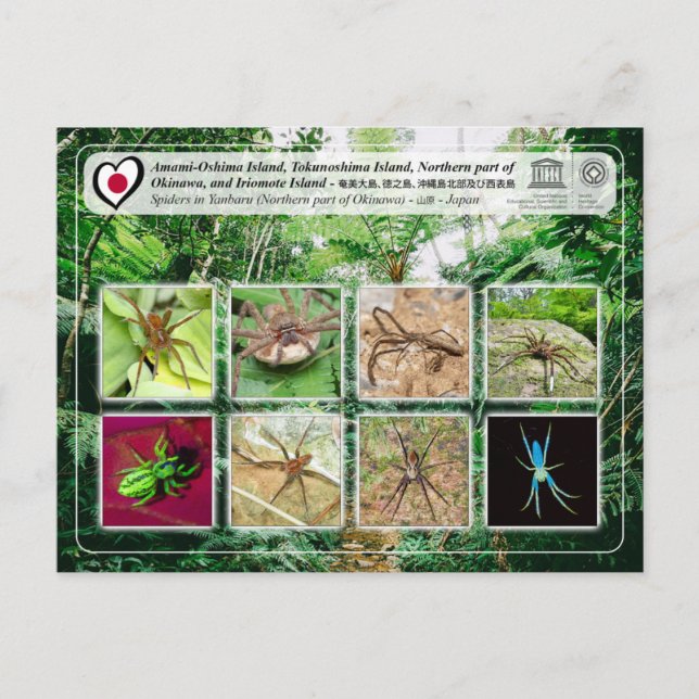 Unesco - norra delen av ön Okinawa - 沖 縄 島 北 部 Vykort (Framsida)