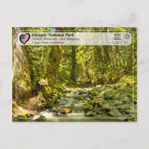 Unesco - Olympic National Park - Hoh Rainforest Vykort