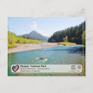 Unesco - Olympic National Park - Quinault River Vykort