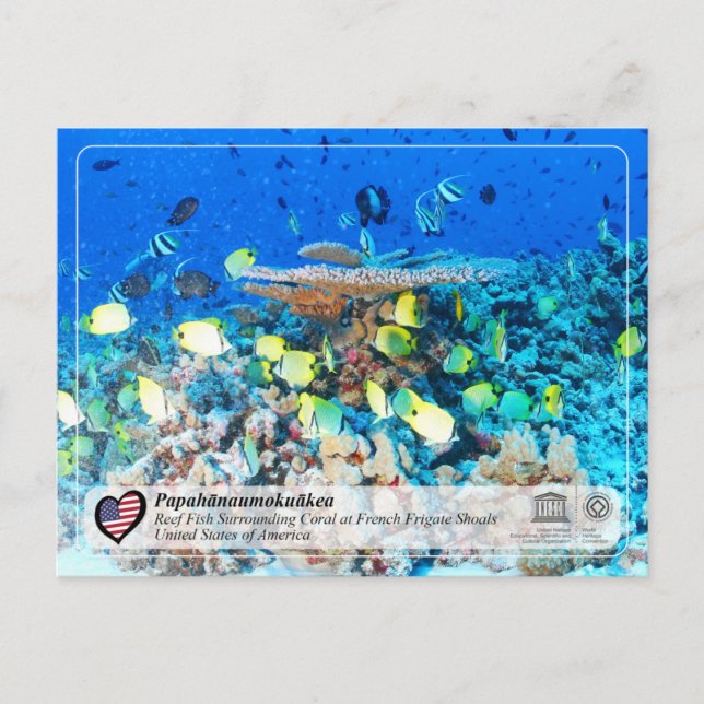 Unesco - Papahānaumokuākea - Fransk Frigate Shoals Vykort (Framsida)