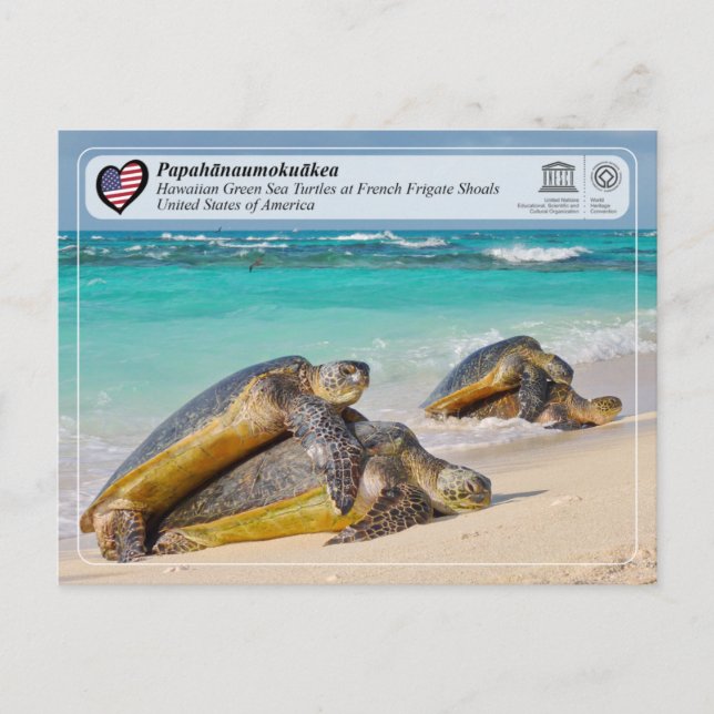 UNESCO - Papahānaumokuākea - French Frigate Shoals Vykort (Framsida)