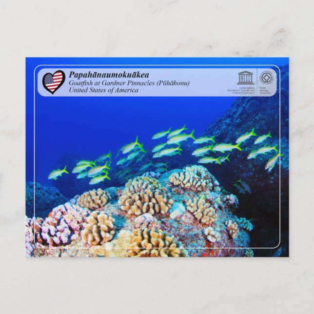 Unesco - Papahānaumokuākea - Gardner Pinnacles Vykort (Framsida)