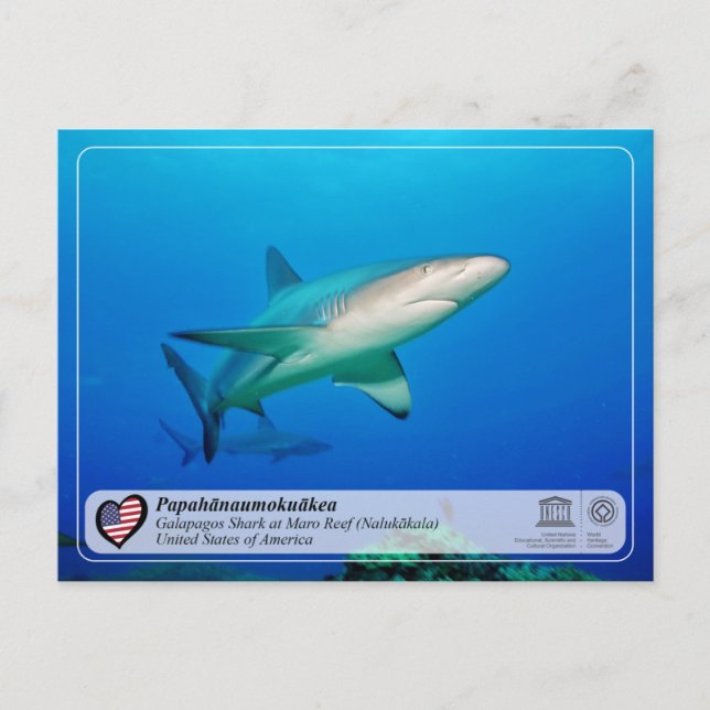 UNESCO - Papahānaumokuākea - Maro Reef vykort (Framsida)