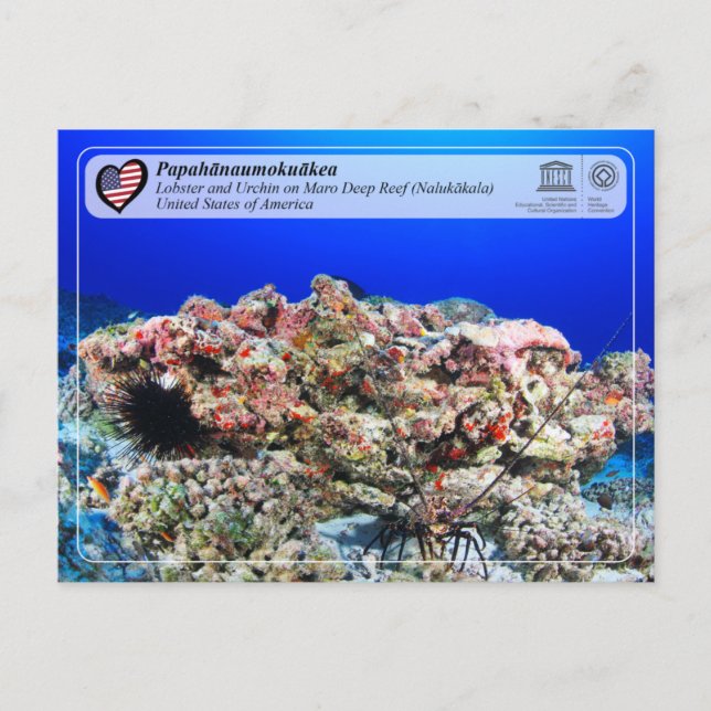 UNESCO - Papahānaumokuākea - Maro Reef Vykort (Framsida)