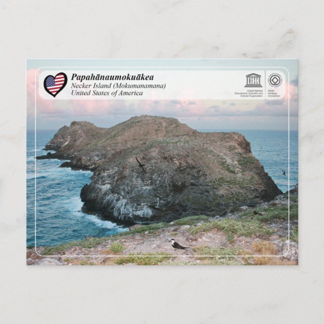 UNESCO - Papahānaumokuākea - Necker Island Vykort (Framsida)