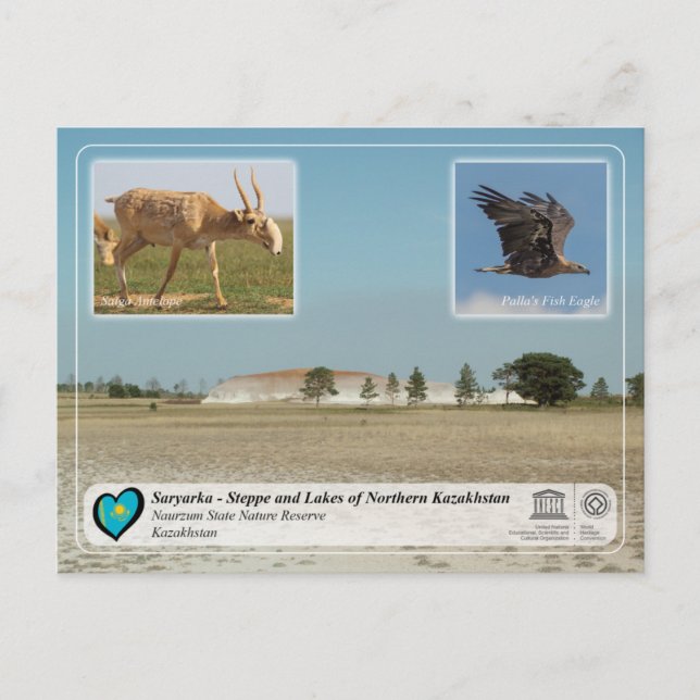 UNESCO - Saryarka - Naurzum statliga naturreservat Vykort (Framsida)