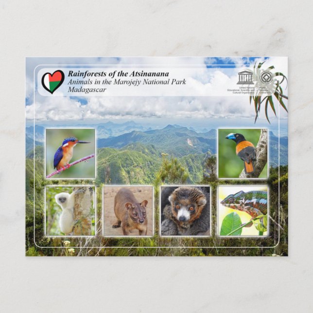 UNESCO WHS - Atsinanana - Marojejy nationalpark Vykort (Framsida)