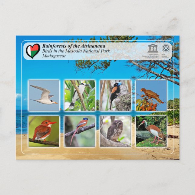 Unesco WHS - Atsinanana - Masoala nationalpark Vykort (Framsida)