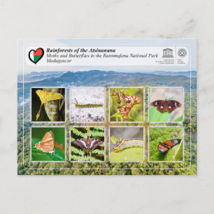 UNESCO WHS - Atsinanana - Ranomafana National Park Vykort