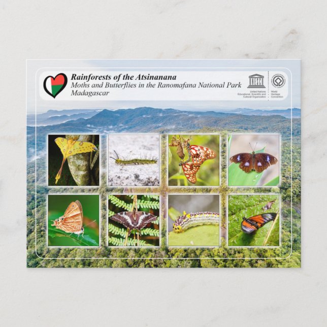 UNESCO WHS - Atsinanana - Ranomafana National Park Vykort (Framsida)