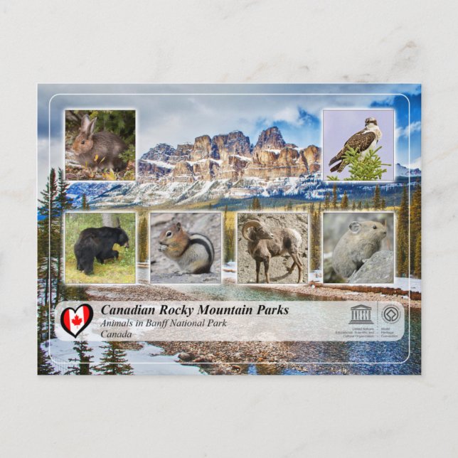 Unesco WHS - Banff nationalpark Vykort (Framsida)