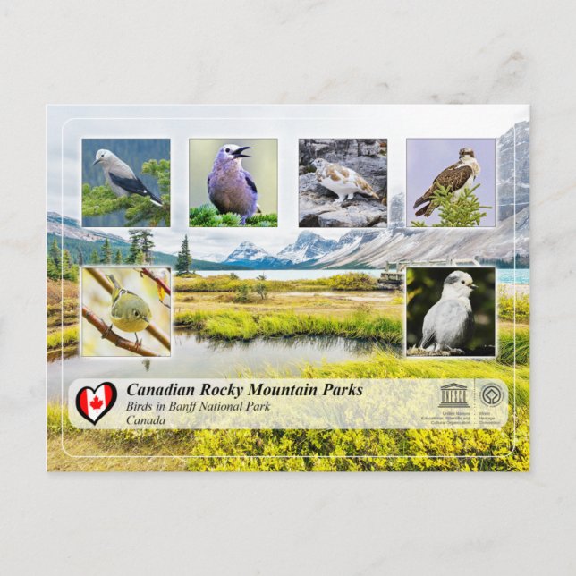 Unesco WHS - Banff nationalpark Vykort (Framsida)