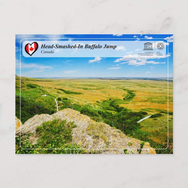 UNESCO WHS - Buffalo-jump med huvud-smetad-in Vykort (Framsida)