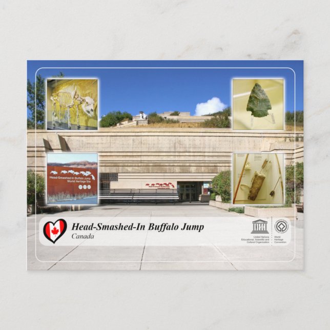 UNESCO WHS - Buffalo-jump med huvud-smetad-in Vykort (Framsida)