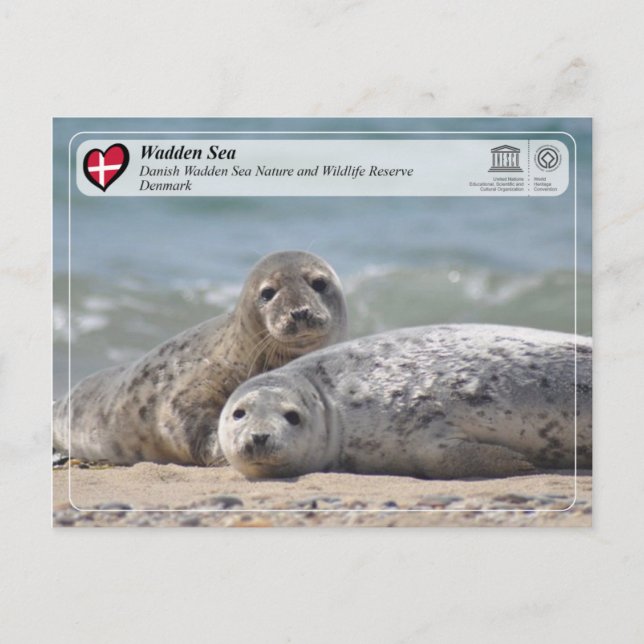 UNESCO WHS - Dansk Vadehavet Vykort (Framsida)