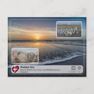 UNESCO WHS - Dansk Vadehavet Vykort
