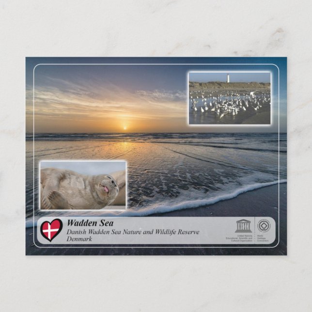 UNESCO WHS - Dansk Vadehavet Vykort (Framsida)