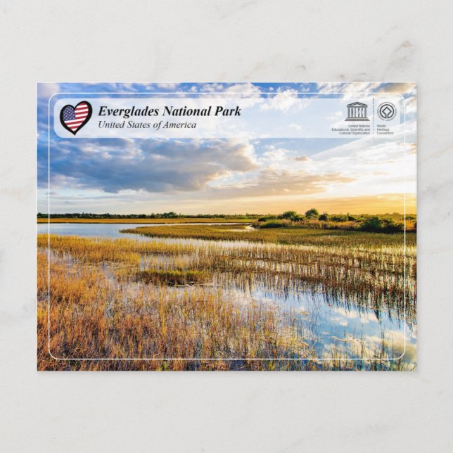 Unesco WHS - Everglades nationalpark Vykort (Framsida)