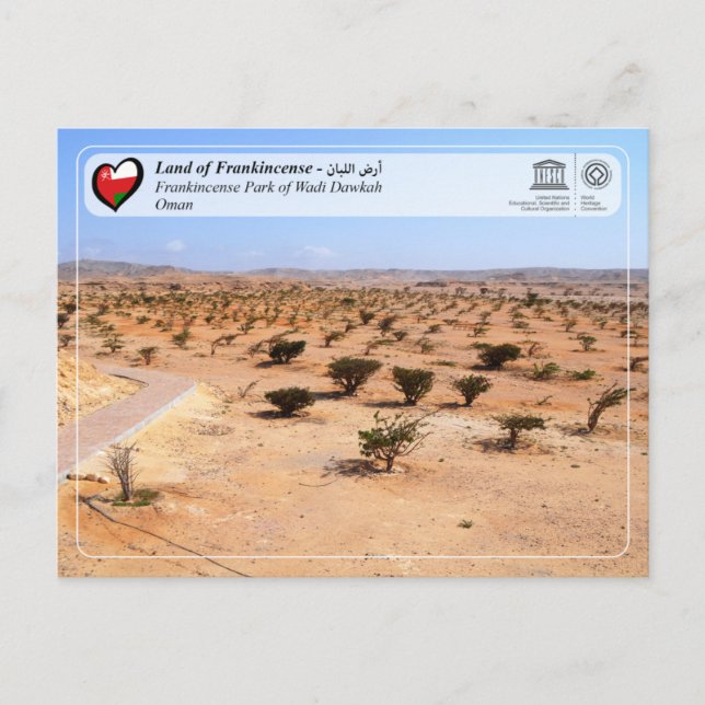 Unesco WHS - Frankincense Park of Wadi Dawkah Vykort (Framsida)