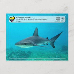 Unesco WHS - Galápagos-öarna - Galapagos Shark Vykort