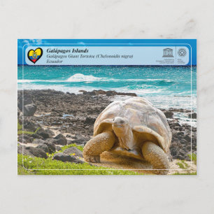 Unesco WHS - Galápagos-öarna - Giant Tortoise Vykort