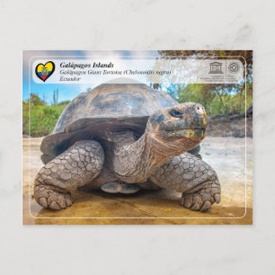 Unesco WHS - Galápagos-öarna - Giant Tortoise Vykort