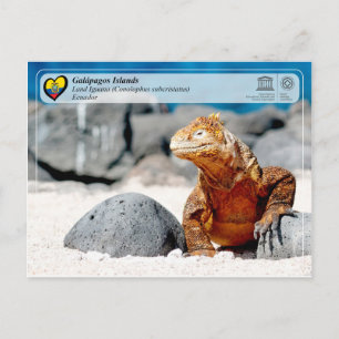 Unesco WHS - Galápagos-öarna - Land Iguana Vykort