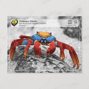 Unesco WHS - Galápagos-öarna - Red Sten Crab Vykort