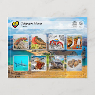 Unesco WHS - Galápagos-öarna Vykort