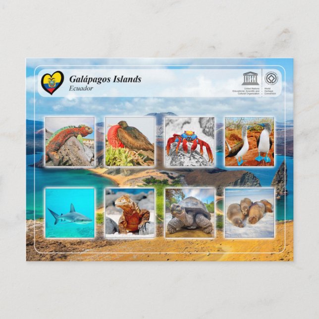 Unesco WHS - Galápagos-öarna Vykort (Framsida)