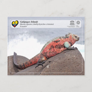 Unesco WHS - Galápagosöarna - Marine Iguana Vykort