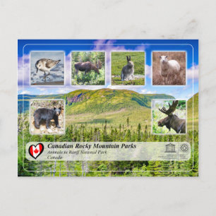 Unesco WHS - Gros Morne nationalpark Vykort