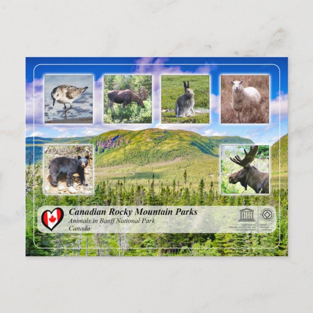 Unesco WHS - Gros Morne nationalpark Vykort (Framsida)