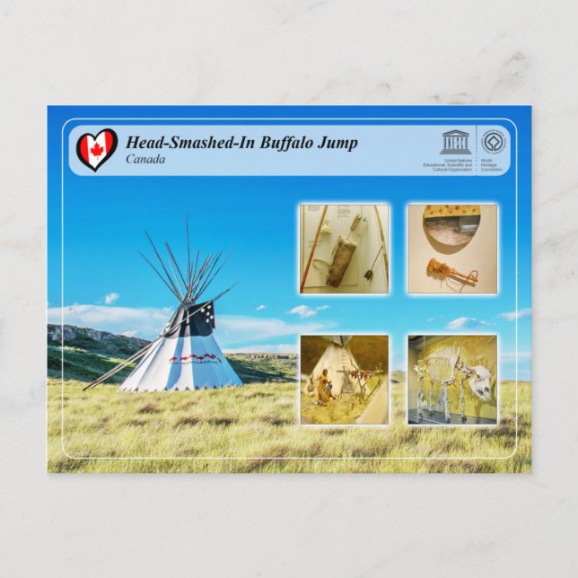 UNESCO WHS - Hoppade in Buffalo-hopp Vykort (Framsida)