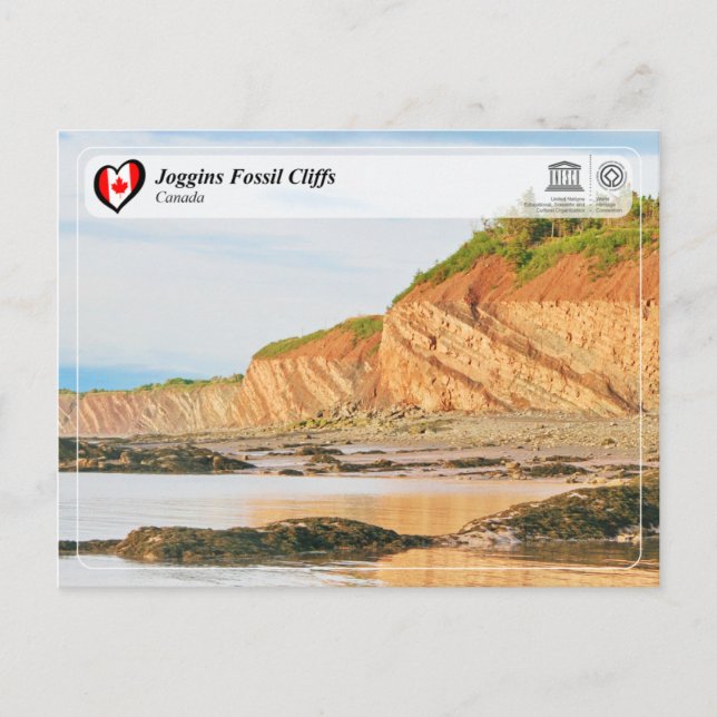 UNESCO WHS - Joggins Fossil Cliffs Vykort (Framsida)