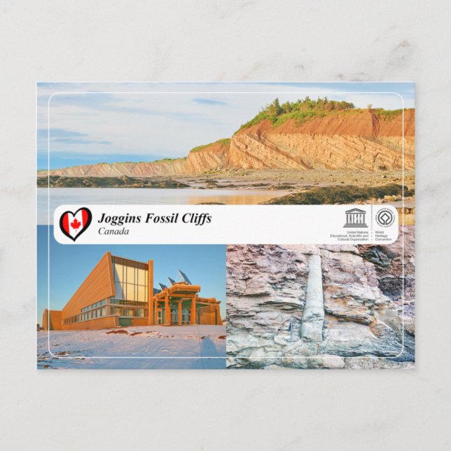 UNESCO WHS - Joggins Fossil Cliffs Vykort (Framsida)