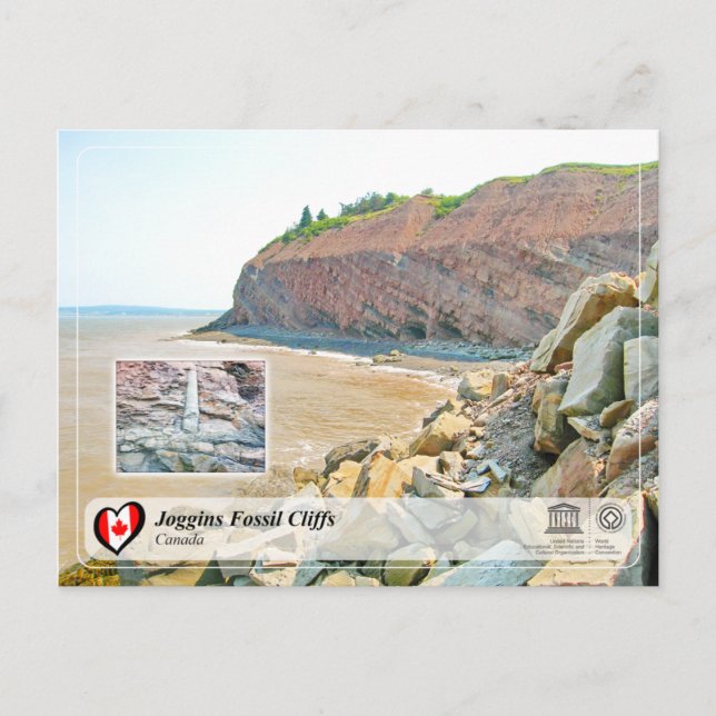 UNESCO WHS - Joggins Fossil Cliffs Vykort (Framsida)