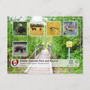 Unesco WHS - Kluane nationalpark och reservat Vykort
